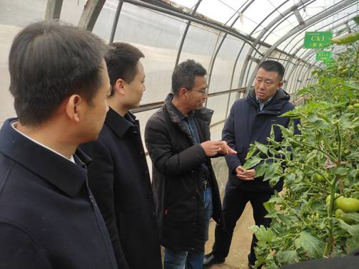 贾珉亮书记听取关于设施蔬菜春季生产的情况汇报1.jpg