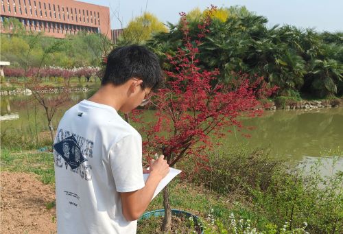 参与者将植物信息记录于纸上.jpg