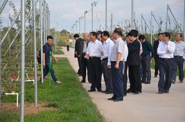 农业部种植业管理司副司长何才文视察我院延安洛川苹果试验站