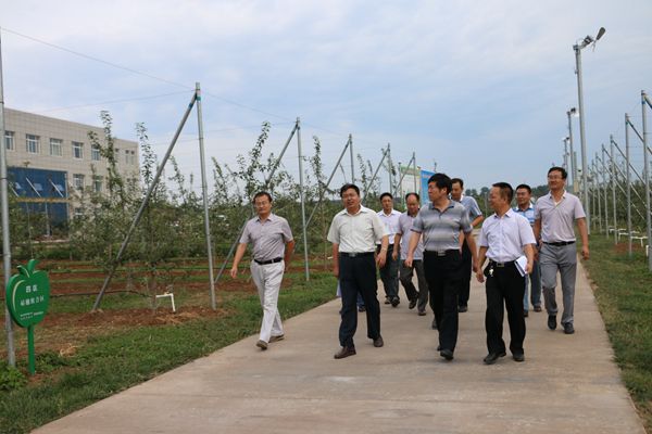陕西省气象局局长丁传群来洛川苹果试验站检查指导果业气象合作研究