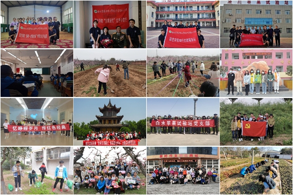 实践活动组图.jpg