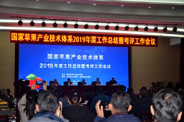 会议现场.JPG