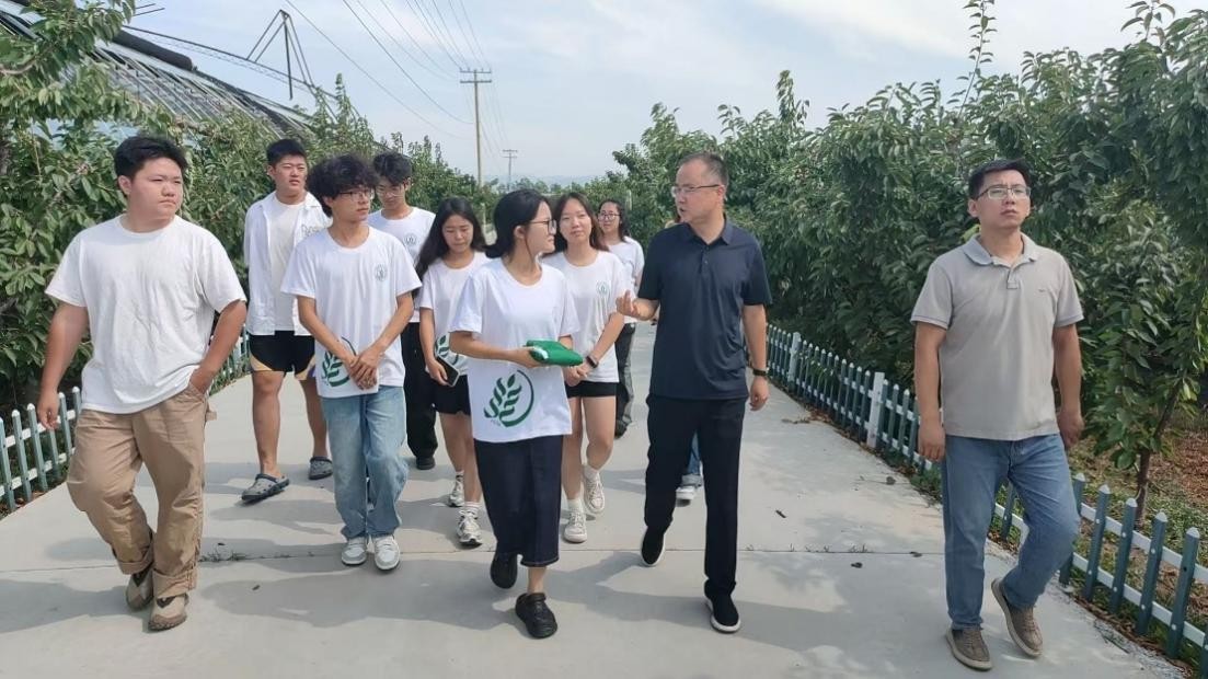 图一.jpg