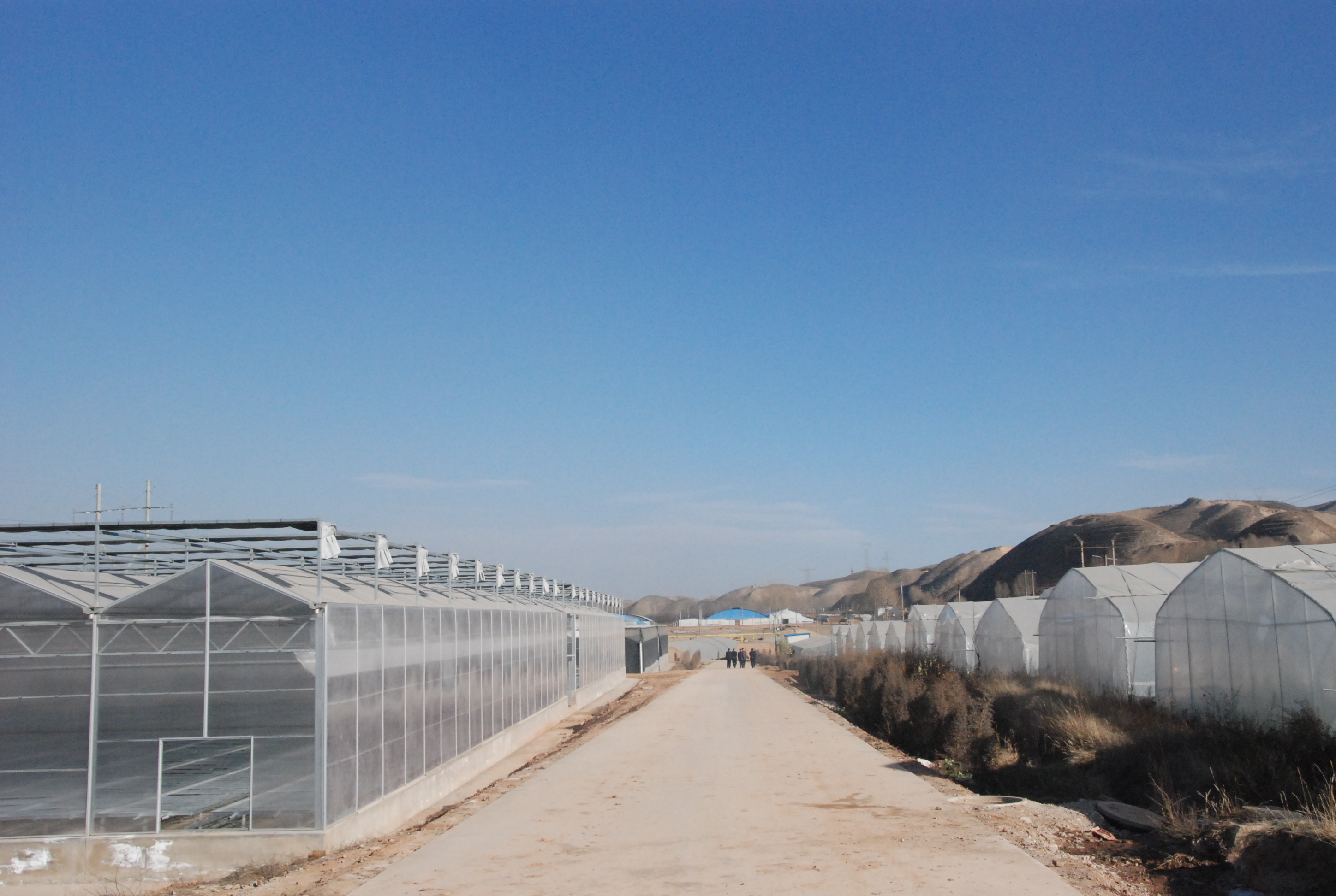 青海乐都高原现代设施农业试验示站.JPG