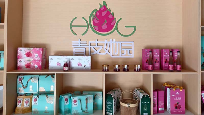 青皮她园火龙果加工产品.jpg
