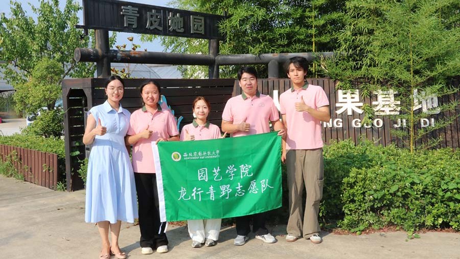 “龙行青野”实践团成员.jpg