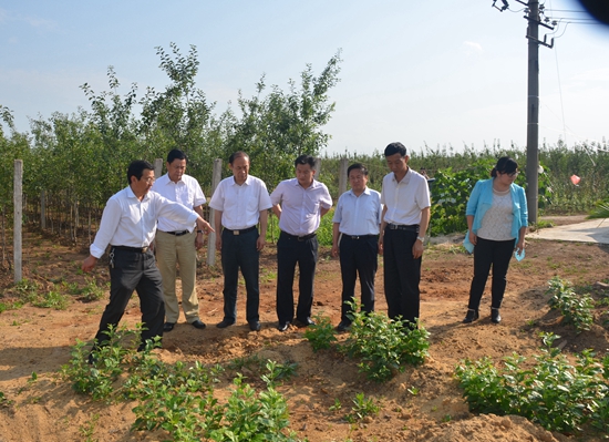 咸阳市副市长刘新余来我院考察交流