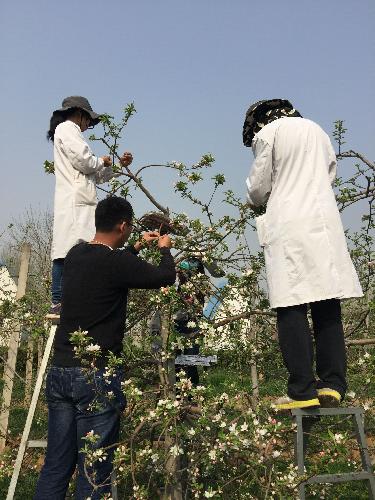 西北农林科技大学园艺学院