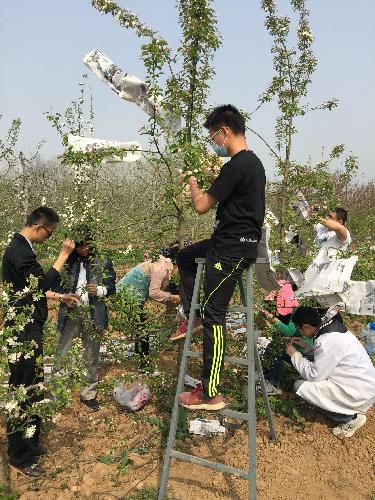 西北农林科技大学园艺学院