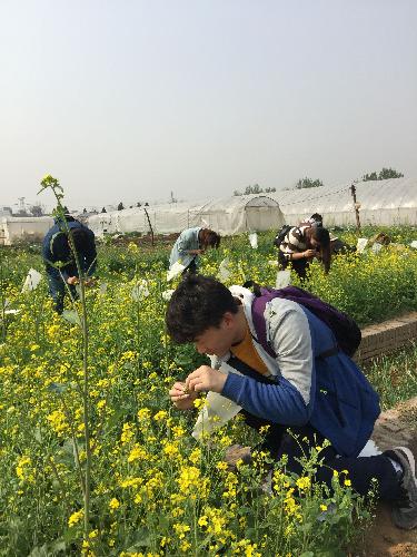 西北农林科技大学园艺学院