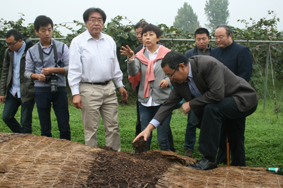 著名水果连锁企业百果园董事长余惠勇先生参观猕猴桃试验站