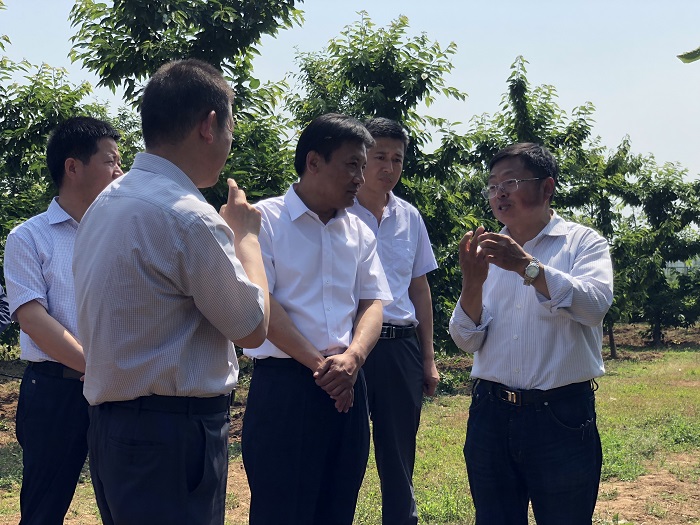 铜川市耀州区领导莅临我院铜川果树试验示范站开展工作调研