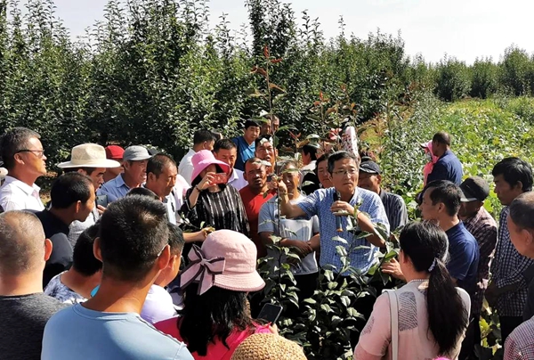徐凌飞教授实地田间指导.jpg