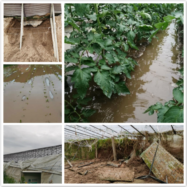 36e76fb5a1eb43ffb92db529844c7c5d.jpg 受灾情况.jpg