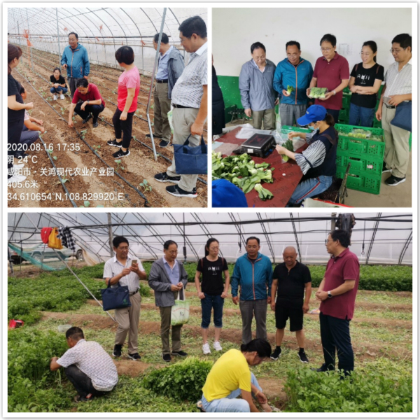 4c16b0eb0c5648c0a4eec66e871bca36.jpg 现场调研.jpg