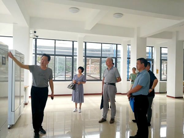 党主任一行参观茯茶研发中心.jpg