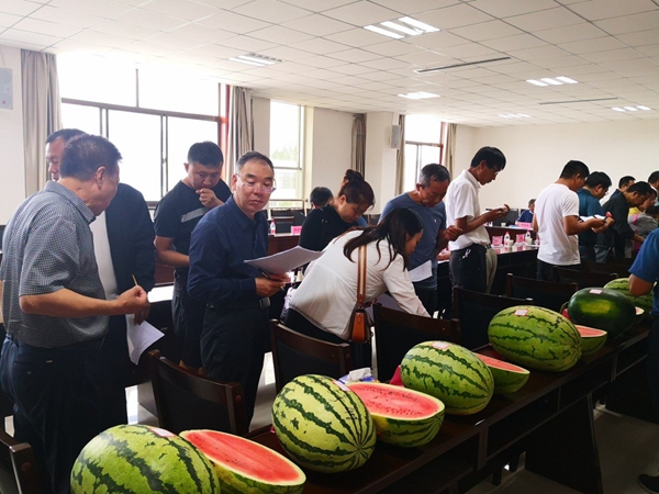 ea9a9d9866c9452fb0ec0a928a3349e6.jpg 西瓜品种和现场鉴定.jpg