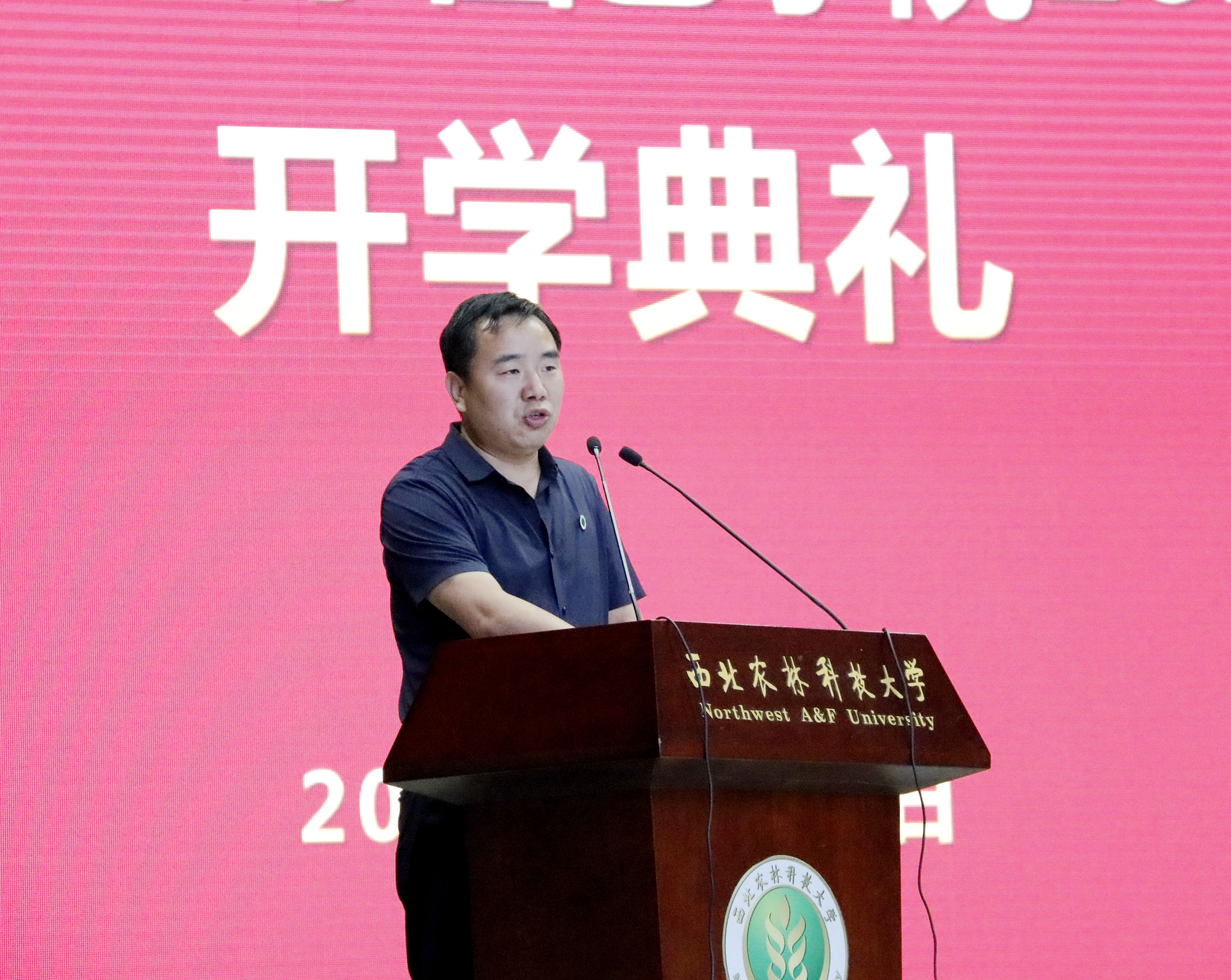 3410abddc1034eb3937fb713d62fca8a.jpg