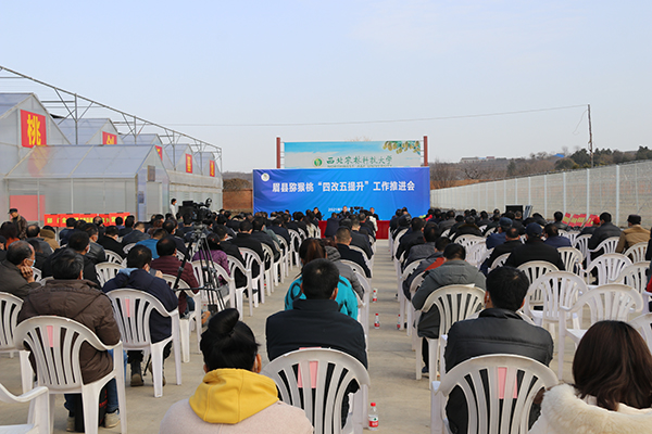 推进会现场.jpg