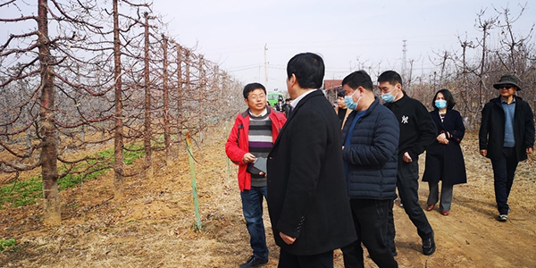 33e4836665004c5ba7d253f505436b69.jpg 1-1.jpg