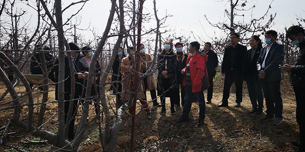 80019d2fa99840e2be46de3a4610514f.jpg 1-2.jpg