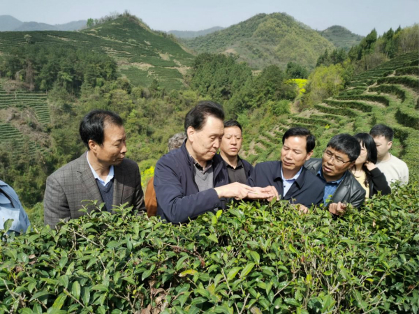 a392bf9540104da189d06a986bf1335e.jpg 1-1.jpg