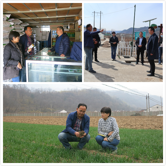 fd33bc87cd6e4c2ba2323db8141f6333.jpg 1-2.jpg