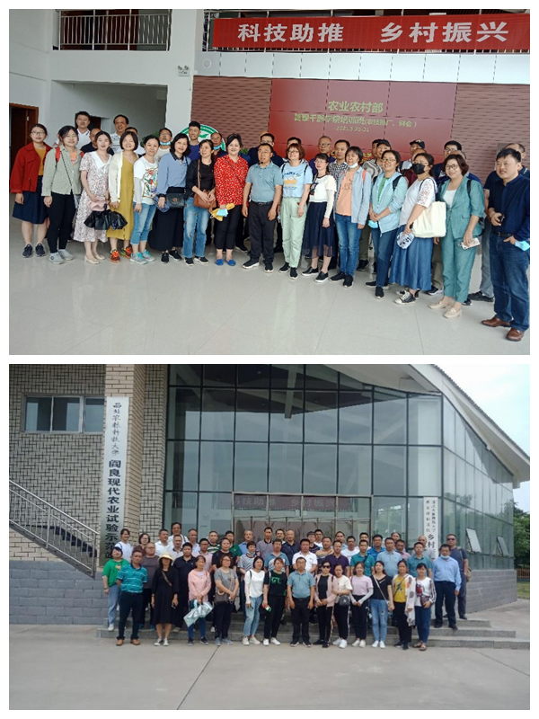 22783cbf8c884d38b9913efcf7095ea2.png 图片7_副本.png