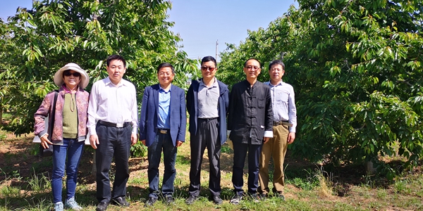 专家参观试验站.JPG