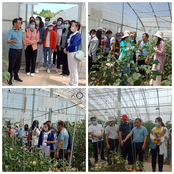 6565f917409441c39fa164257fcf3d0b.png 图片1_副本.png