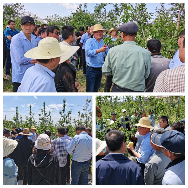 c586e06410b8455f8e30e8ab0931a759.jpg 赵政阳教授培训现场3 (1)_副本.jpg