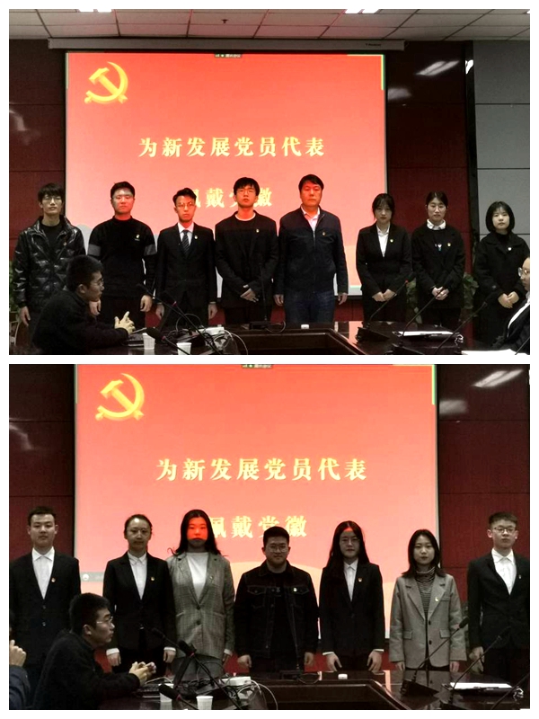 佩戴党徽.jpg