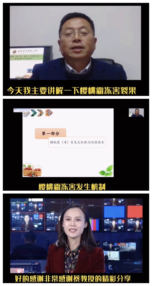 c6379a28c664478aa9ac8eafc44e879f.jpg
