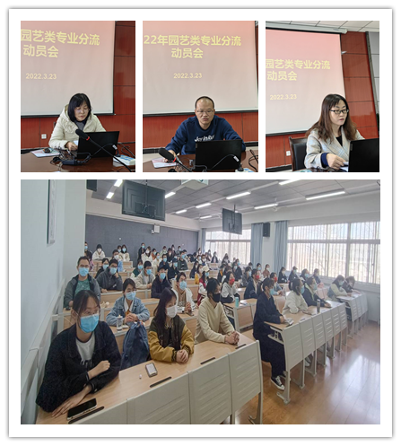 线上线下.png