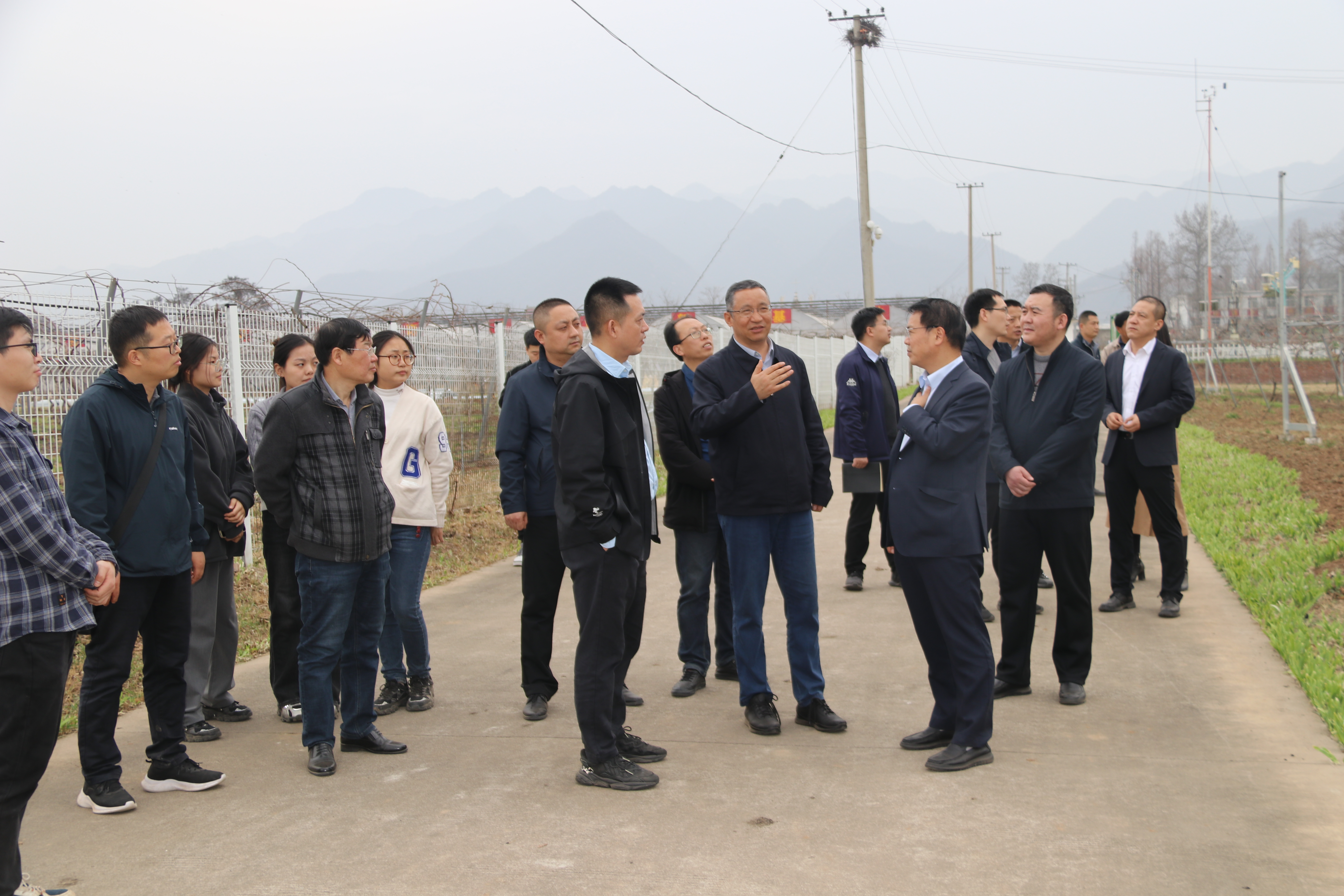 a6223ec816604fbfac582e9251e539a3.jpg